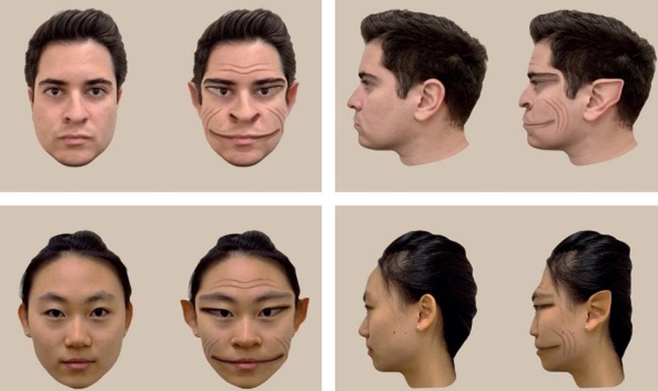 A 58-year-old man with a 31-month history of seeing people’s faces distorted and, in his words appearing “demonic” visited a university laboratory for an assessment (Dartmouth College)