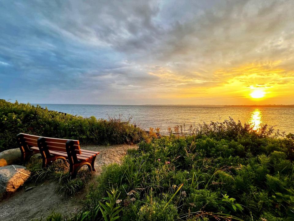 The “Best of Show” was awarded to “Solitude” taken by Alison Lohrum of Newport, at Sachuest Point National Wildlife Refuge.