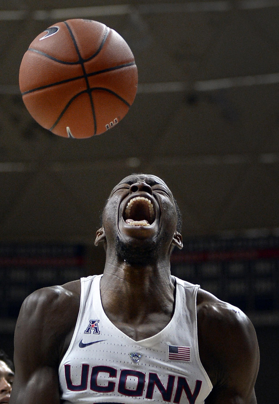 Amida Brimah reacts after dunking