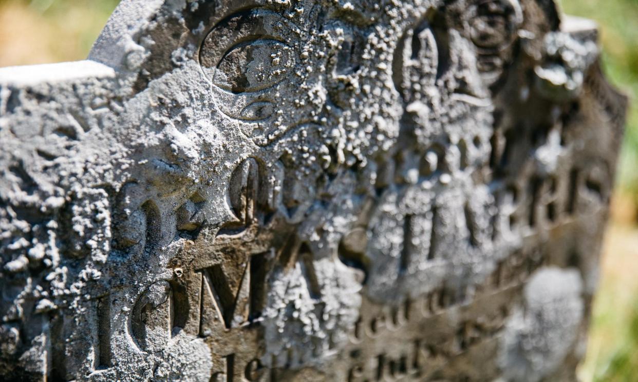 <span>Because graves and stonework are left untouched for many years, the lichen can grow in peace.</span><span>Photograph: Alexander Turner/The Guardian</span>