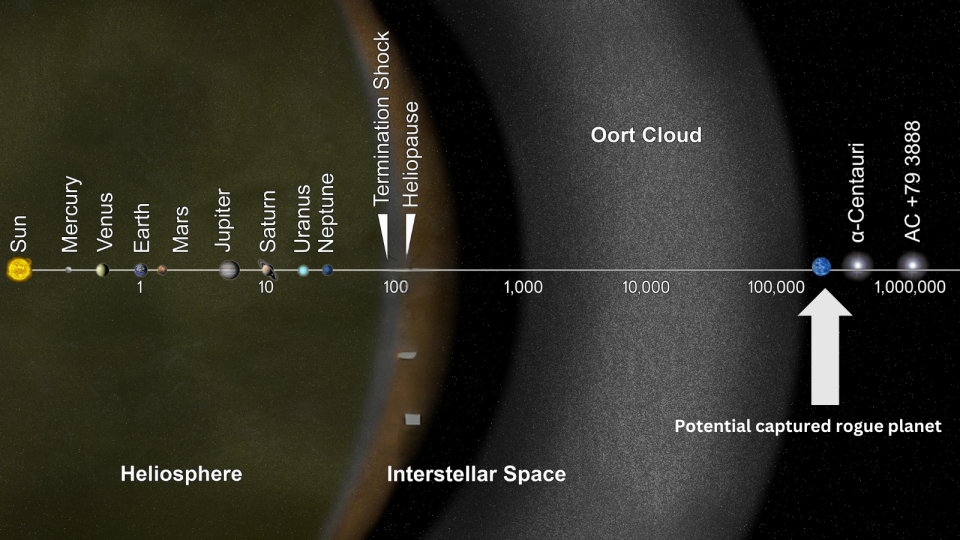 A diagram showing the Sun on the left, followed by the planets as you move to the right, then the heliosphere, the Oort cloud, and finally the region where a possible renegade planet could be captured.