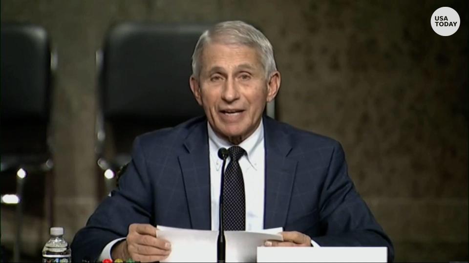 Dr. Fauci and Senator Paul clash during COVID-19 Senate hearing