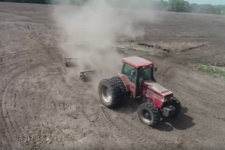 Una de las imágenes de donde estaba la plantación