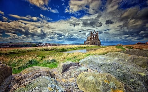 Visit coastal Whitby with a Yorkshire flower trip - Credit: istock