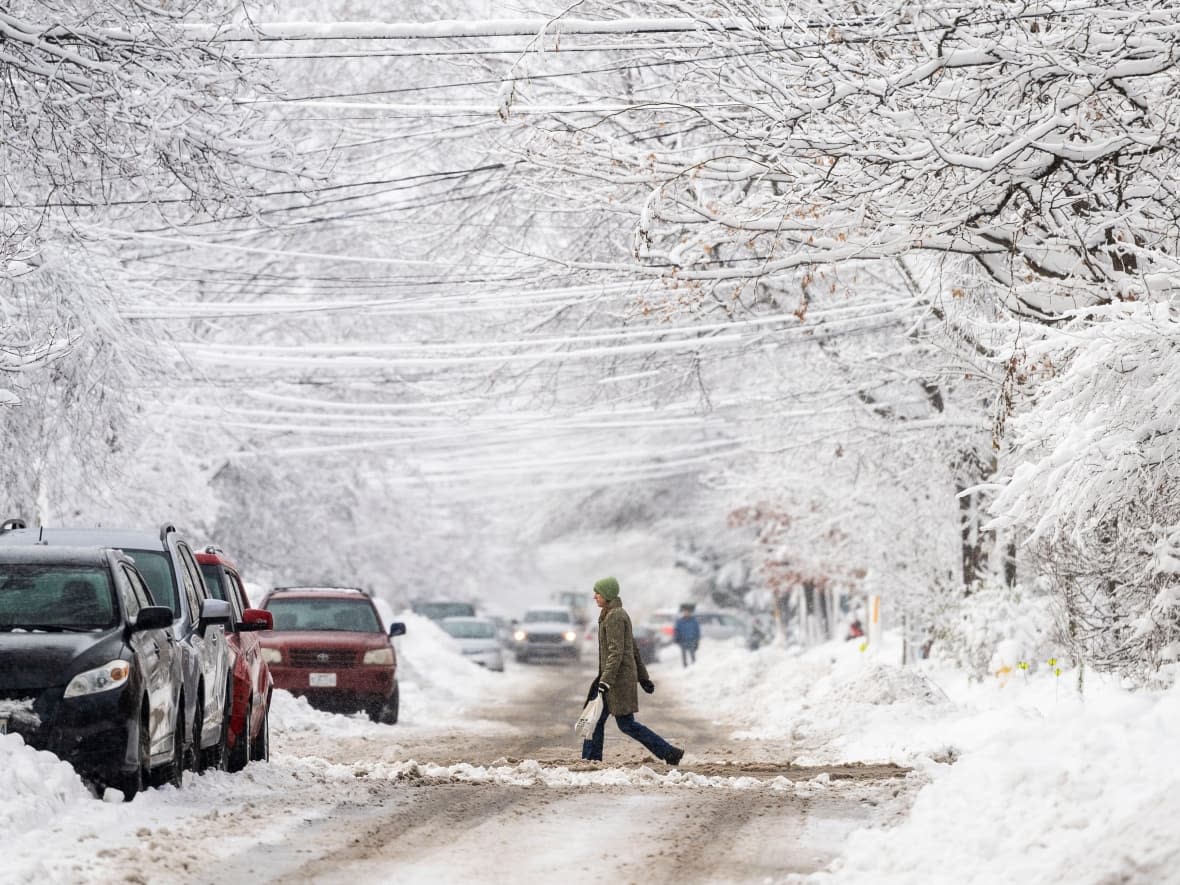 Tree branches and utility lines are laden with thick snow after a snowstorm in Ottawa on Dec. 17, 2022. Thousands in eastern Ontario were without power after a storm hit over the holiday weekend.  (Justin Tang/The Canadian Press - image credit)