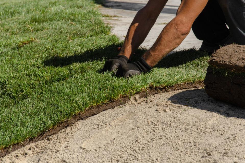 A close up of a worker's gloved hands tending to grass. 