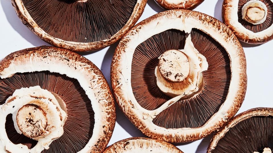 Wild Mushrooms Aren't Necessarily Better Mushrooms 