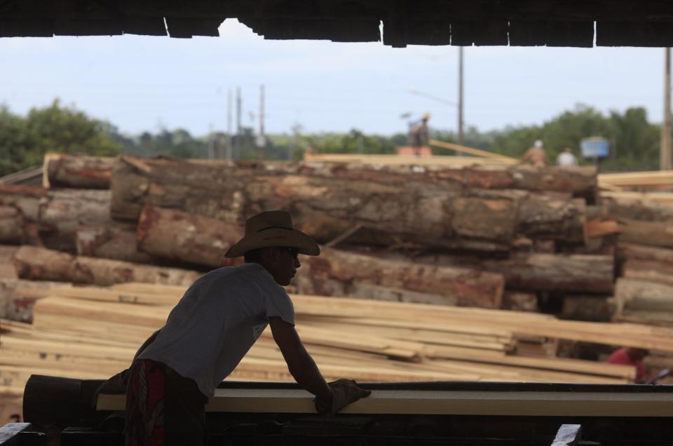 File photo of a man cutting lumber from trees illegally extracted from the Amazon rainforest in Viseu