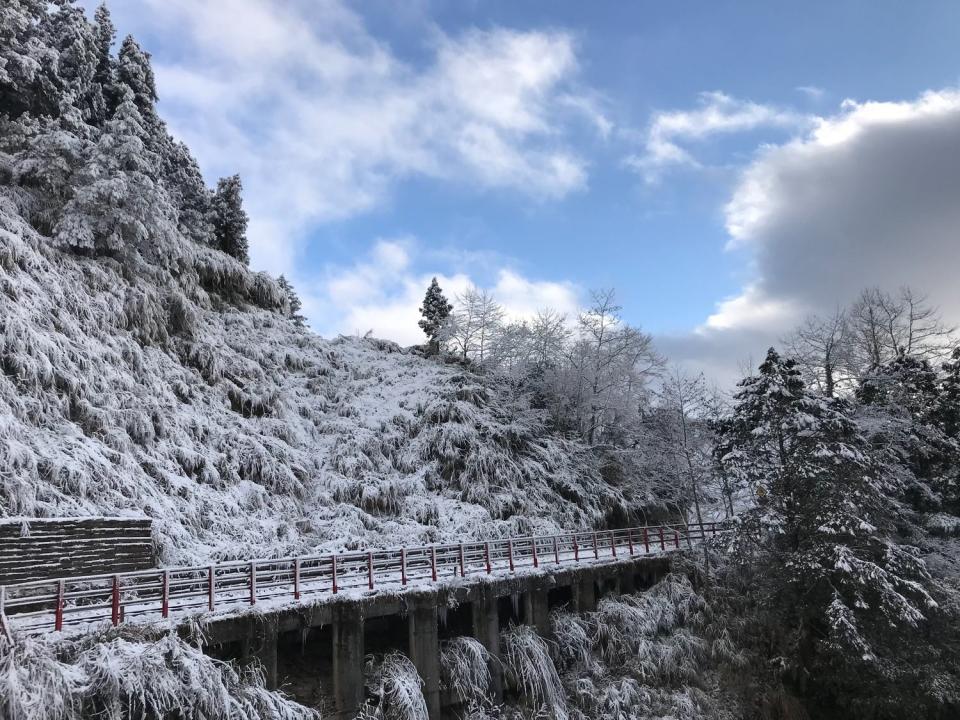 太平山雪景迷人，目前已積雪10公分。   圖：太平山國家森林遊樂區/提供