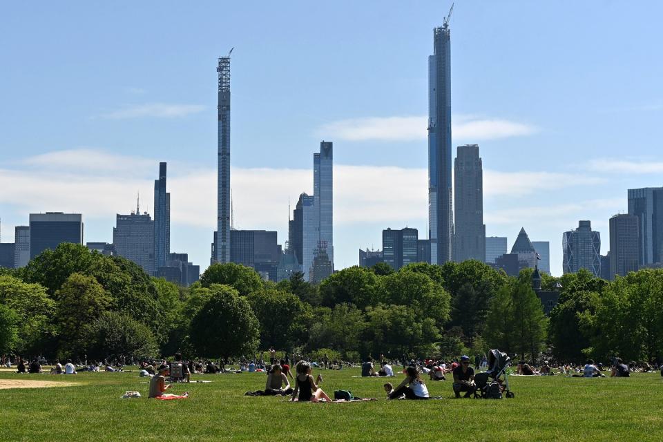 the Great Lawn in Central Park