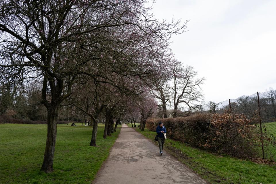 Grovelands Park (Daniel Hambury/Stella Pictures Ltd)