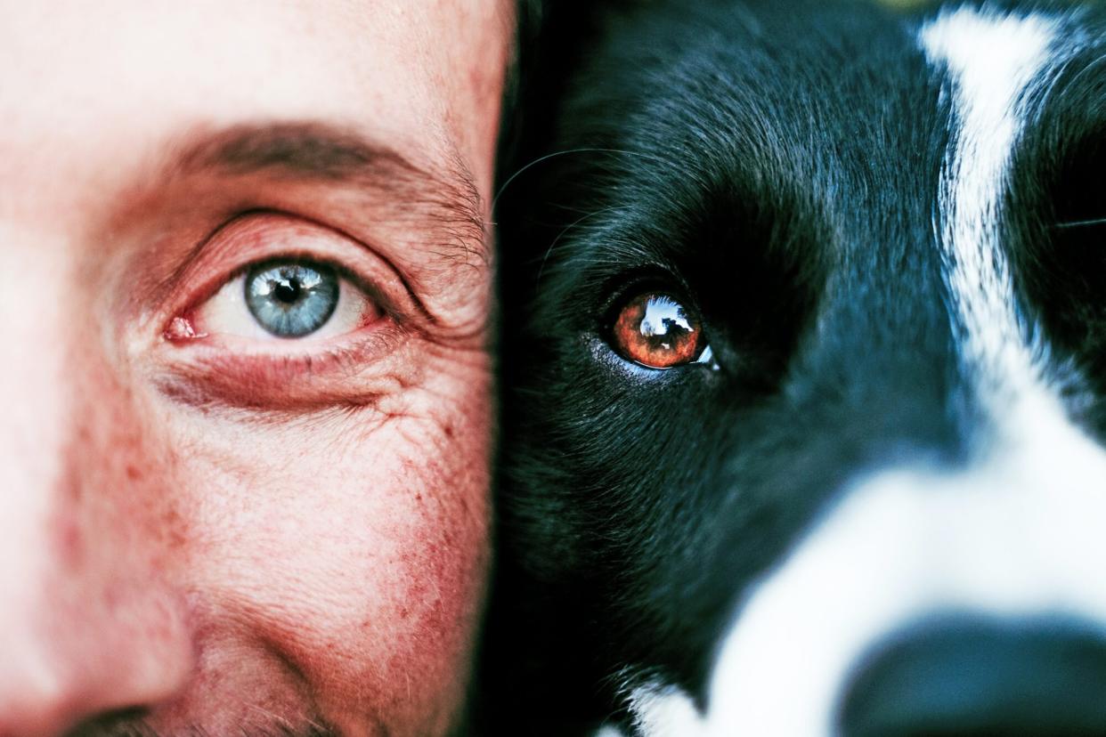 man's face next to dog's face focusing on the eyes; how do dogs see the world?