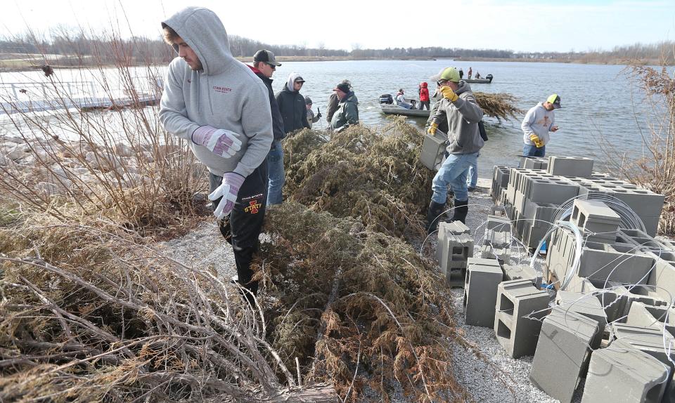 The City of Ames, DNR Fisheries, the Ames Anglers Club members, and Iowa State University students dropped nearly 50 cedar trees for a fish habitat at Ada Hayden Heritage Park's north lake on Friday, March 29, 2024, in Ames, Iowa.