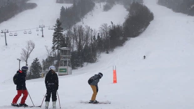 Skiers rejoice! Marble Mountain is open.  (Colleen Connors/CBC - image credit)