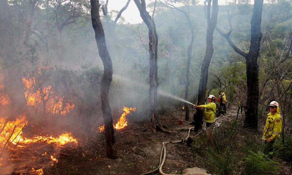 Firefighters manage a controlled burn in bushland