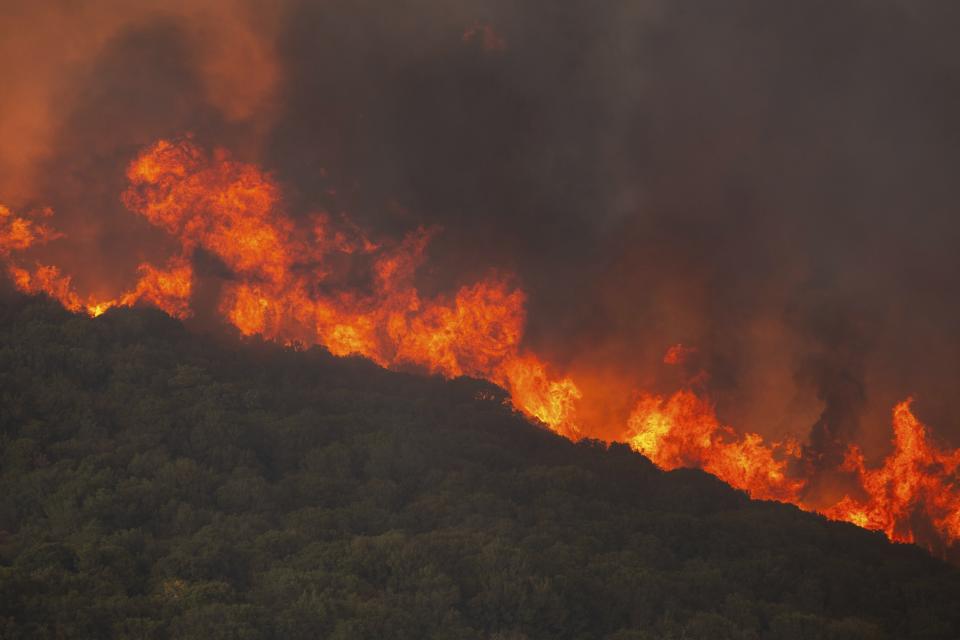 Flames burn a forest during wildfires near the village of Sykorrahi, near Alexandroupolis town, in the northeastern Evros region, Greece, Wednesday, Aug. 23, 2023. Advancing flames are devouring forests and homes in Greece as wildfires that have killed 20 people are raging. (AP Photo/Achilleas Chiras)