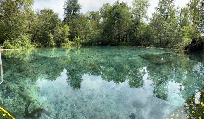 Photo of Ichetucknee Springs river