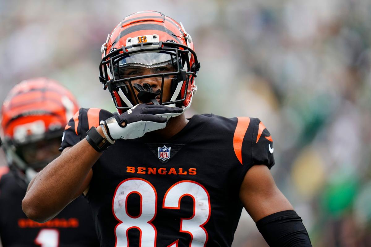 Bengals provide injury updates on Tee Higgins, Tyler Boyd after