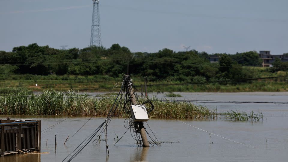 Un poste eléctrico se encuentra parcialmente sumergido en un campo de maíz inundado en la provincia de Jiangxi el 5 de julio. - Tingshu Wang/Reuters