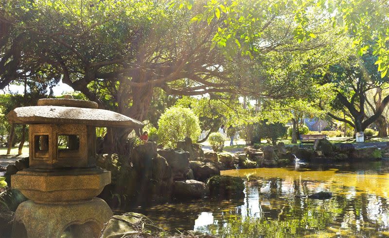 台北二二八和平公園內動植物生態豐富（圖／台北市工務局提供）