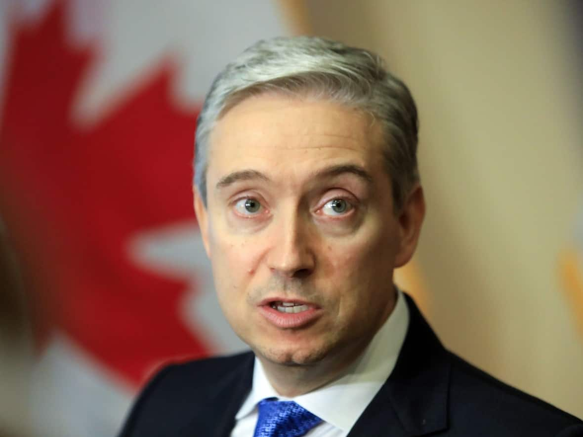 François-Philippe Champagne, federal innovation, science and industry minister, will join Minister of Seniors Kamal Khera and Minister of Rural Economic Development Gudie Hutchings on Monday to announce $20-per-month high-speed internet for low-income seniors and families. (Petras Malukas/AFP/Getty Images - image credit)