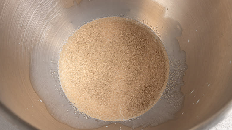 Dry yeast in milk 