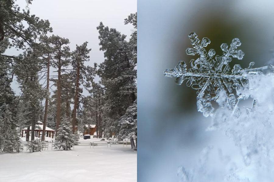 ¡Blanca nieve y frío!, ¿continuará nevando en Baja California este viernes?