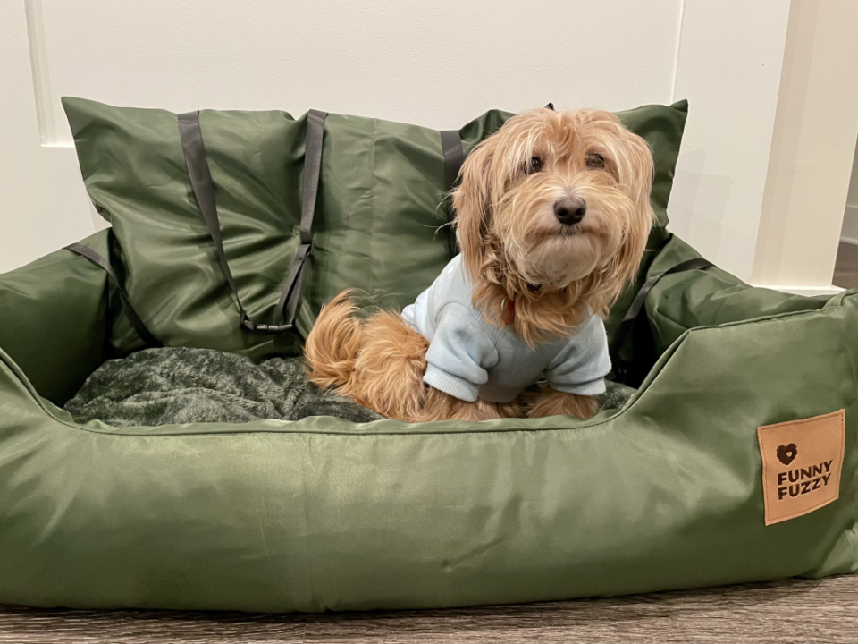 Goldie Hawn sitting in the FunnyFuzzy dog car seat.