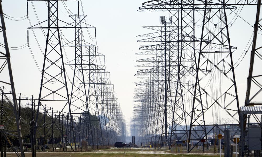 <span>Photograph: David J Phillip/AP</span>