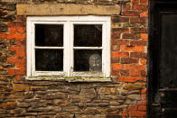 This is Gandalf the Great Grey Owl and he gets scared flying out in the open so his owners have built his aviary inside a brick shed. He now loves spending his days watching the world go by out of his window. (Photo and caption by Mark Bridger/National Geographic Photo Contest) <br> <br> <a href="http://ngm.nationalgeographic.com/ngm/photo-contest/2012/entries/recent-entries/" rel="nofollow noopener" target="_blank" data-ylk="slk:Click here to see more contest entries at National Geographic;elm:context_link;itc:0;sec:content-canvas" class="link ">Click here to see more contest entries at National Geographic</a>