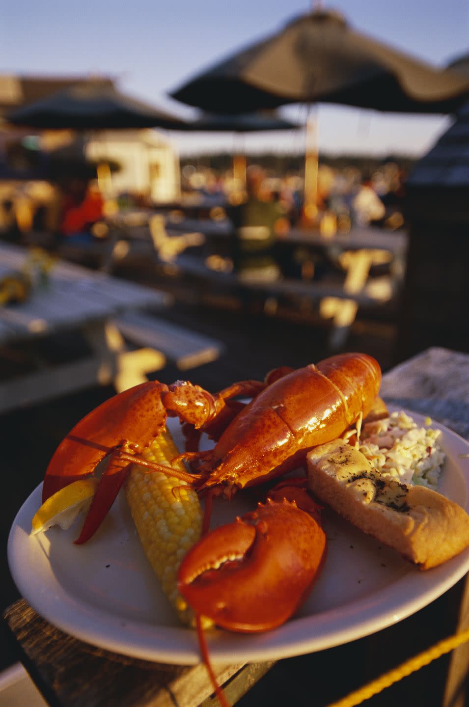 maine lobster dinner