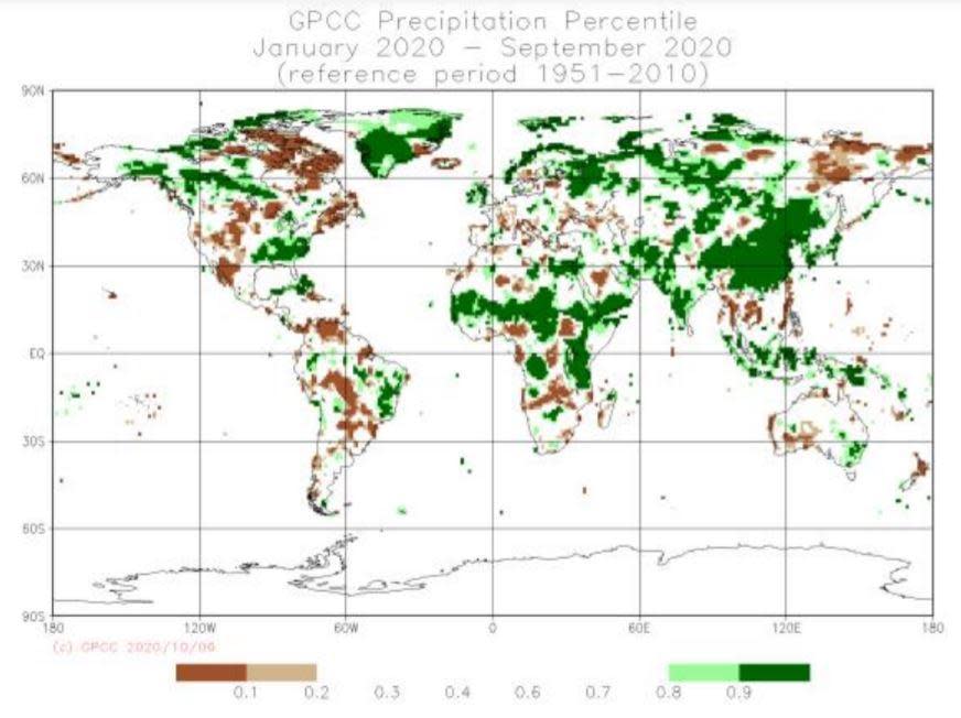 Green colors indicate above normal rain and/or snowfall in Asia and central Africa. Brown colors show drier than normal areas, as seen in the western U.S. / Credit: UN Report