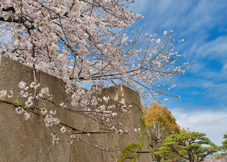 There are many areas for beautiful photography like the castle's stone walls.