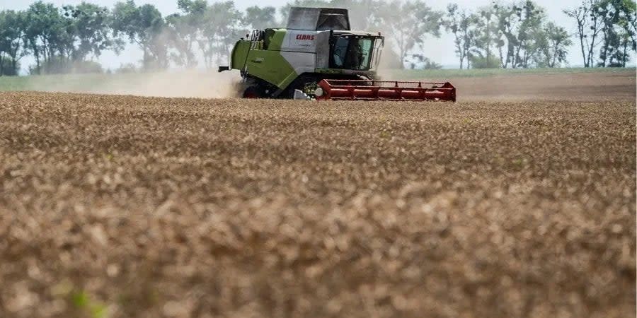 Bulgaria will hand over to Ukraine a list of companies that violate the terms of Ukrainian grain licensing