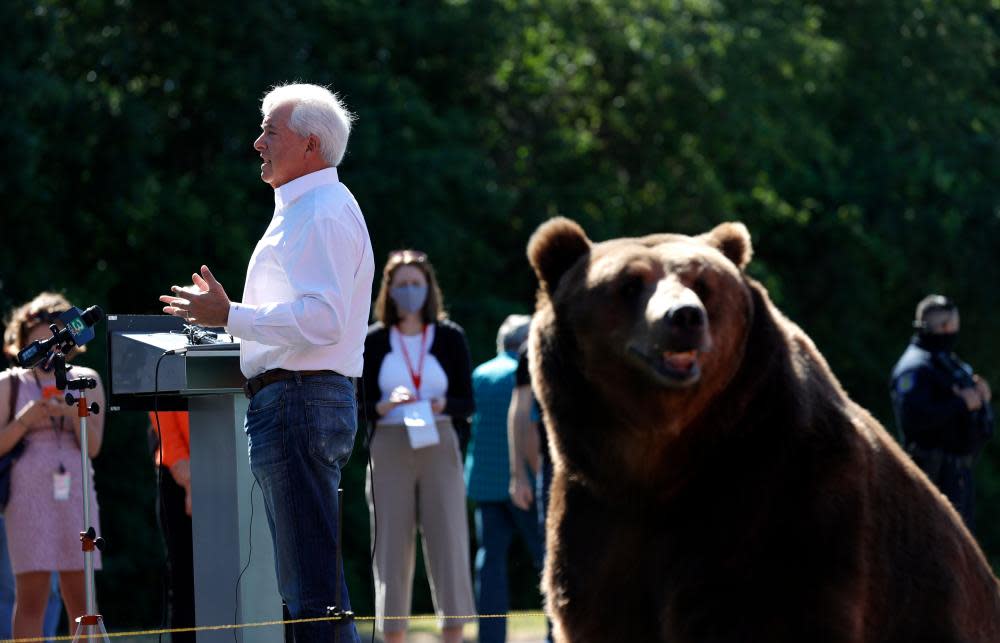 <span>Photograph: Justin Sullivan/Getty Images</span>