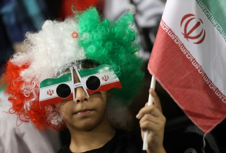 An Iranian fan waves his national flag during a World Cup 2018 Asia qualifying football match between Qatar and Iran at the Jassim Bin Hamad stadium in Doha on March 23, 2017