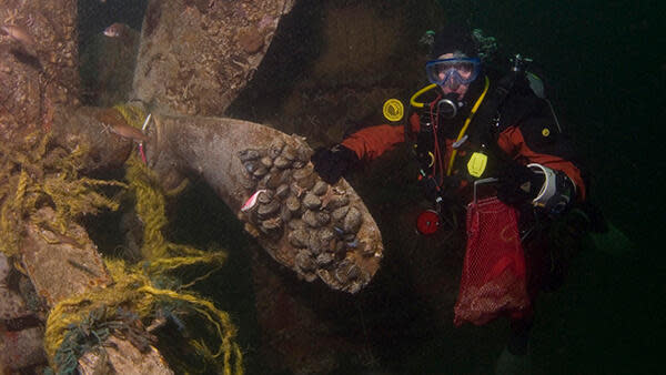 Josephine Marie's propeller. / Credit: Matthew Lawrence, NOAA/SBNMS