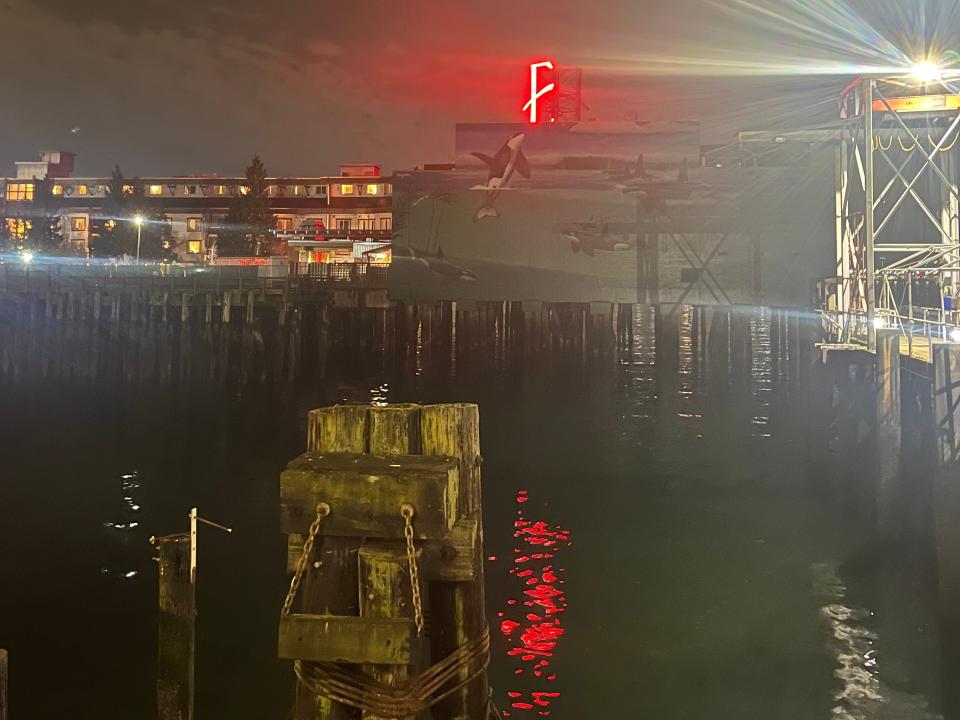 view from the seattle ferry dock at night