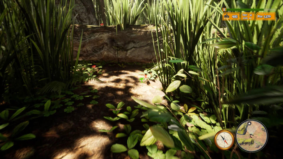 Morels: The Hunt 2 screenshot