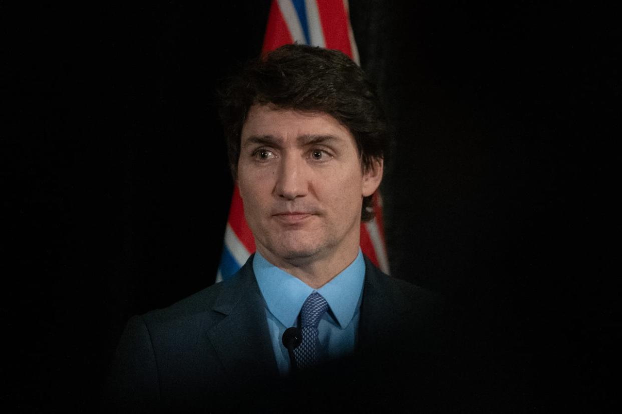 Prime Minister Justin Trudeau said adult Canadians shouldn't have to give their personal information to 'sketchy' online entities before watching porn. (Ethan Cairns/Canadian Press - image credit)