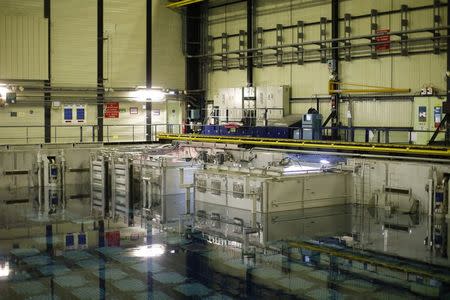 A view shows the pool storage where spent nuclear fuel tanks are unload in baskets under 4 meters of water to decrease temperature as part of the treatment of nuclear waste at the Areva Nuclear Plant of La Hague, near Cherbourg, western France, April 22, 2015. REUTERS/Benoit Tessier