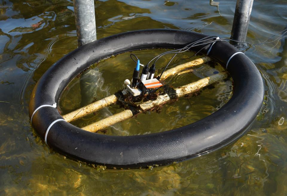 A bicycle inner tube is used to hold sensors that measure the dissolved oxygen, pH and salinity of water in Roberts Bay. Todd Kleperis has built an experimental garden pod that he hopes will become a model for sustainable farming.