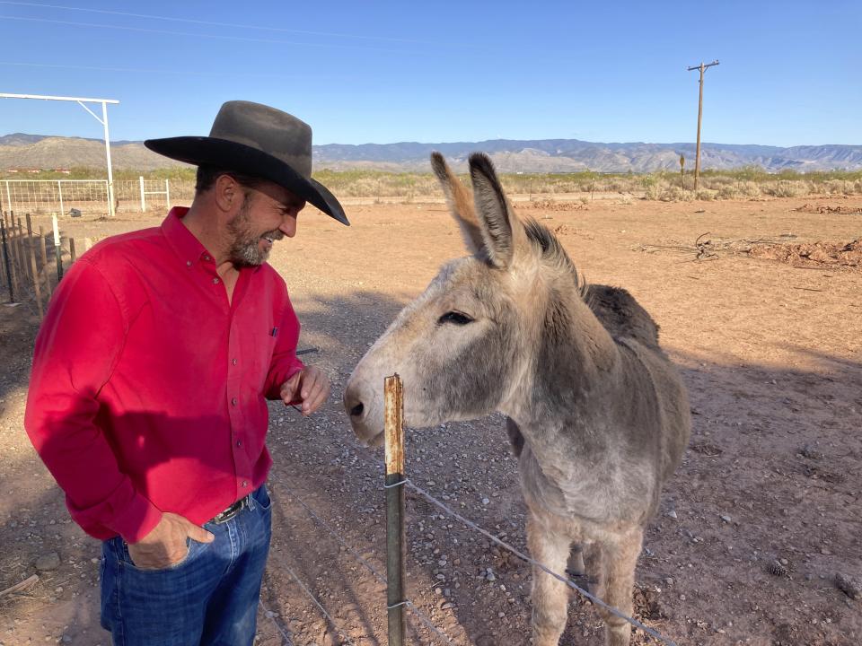 Otero County Commissioner Couy Griffin, the founder of Cowboys for Trump, cares for a donkey named Henry outside his home in Tularosa, N.M., on Wednesday, May 12, 2021. Griffin is reviled and revered in politically conservative Otero County as he confronts criminal charges for joining protests on the steps of the U.S. Capitol on Jan. 6. Griffin is fighting for his political future amid a recall initiative and state probes into his finances. (AP Photo/Morgan Lee)