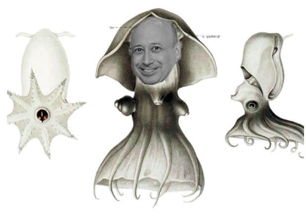 Goldman Vampire Squid