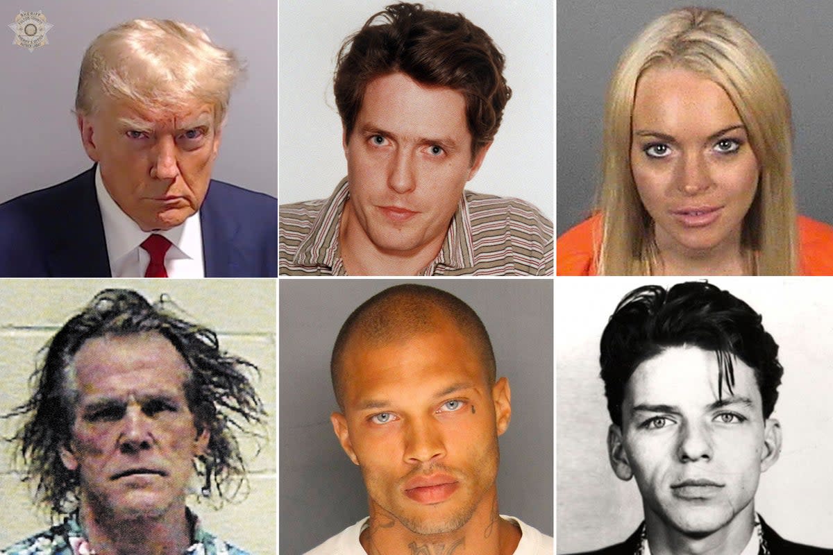 Clockwise from top left: Donald Trump, Hugh Grant, Lindsay Lohan, Frank Sinatra, Jeremy Meeks, Nick Nolte  (Fulton County Sheriffs Office)