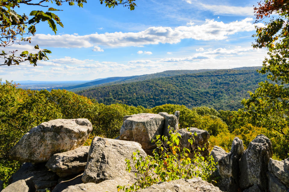 Catoctin Mountain Park is pictured.