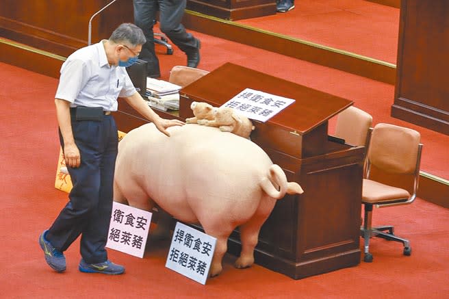 台北市議會17日開議，市長柯文哲赴議會進行施政報告，國民黨籍議員抬出粉紅色豬玩偶包圍柯。休息時間，柯文哲特地繞過去摸一下粉紅色的豬玩偶。（鄧博仁攝）