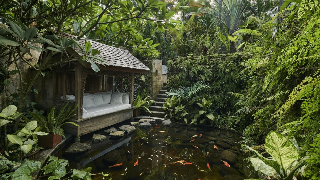 pond with koi carp with traditional wooden pergola seating area, situated at luxury resort