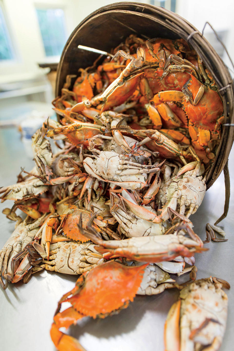 Steamed Blue Crabs