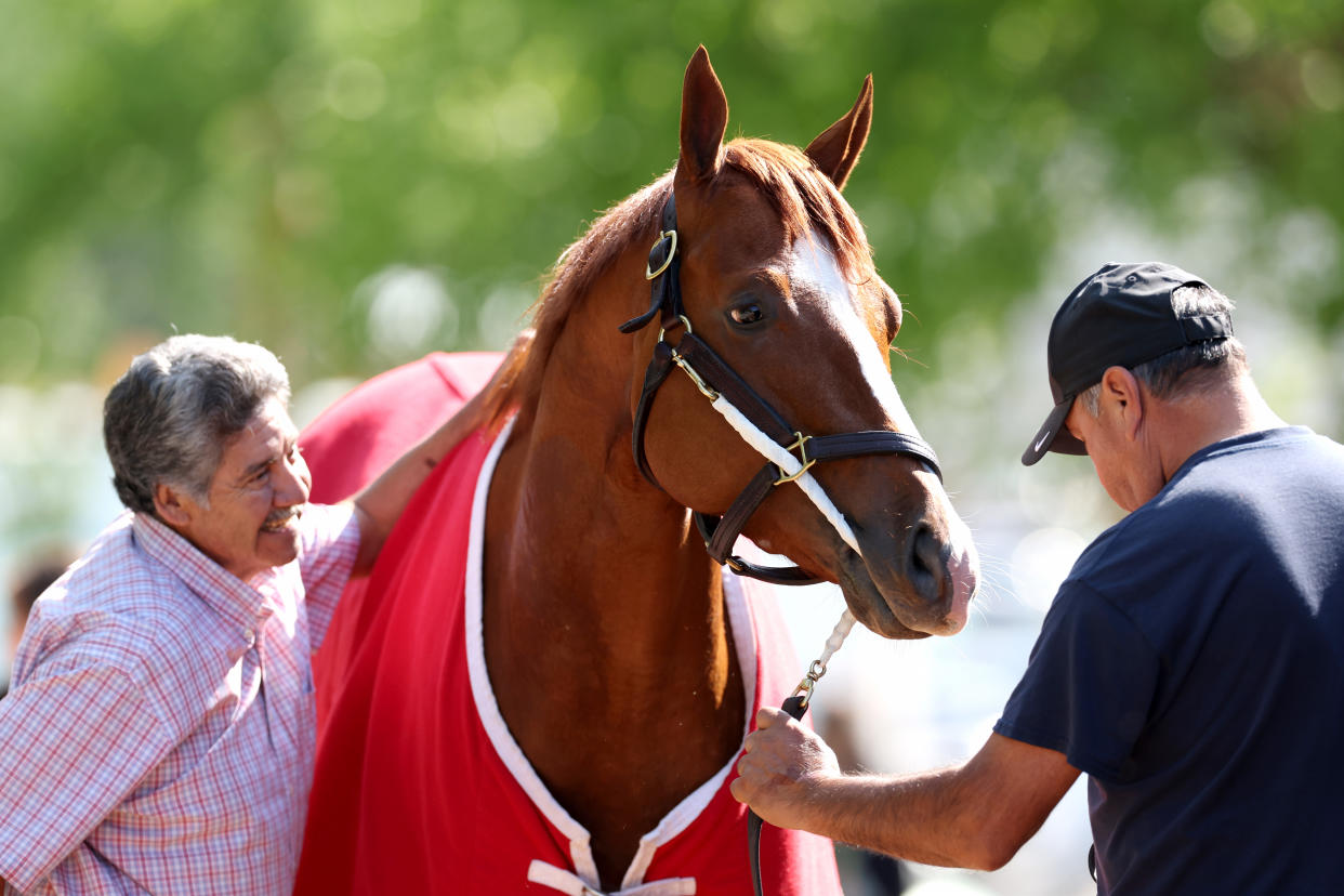 BALTIMORE, MARYLAND - MAY 18: Kentucky Derby winner Mage is bathed following a training session ahead of the 148th Running of the Preakness Stakes at Pimlico Race Course on May 18, 2023 in Baltimore, Maryland. (Photo by Rob Carr/Getty Images)